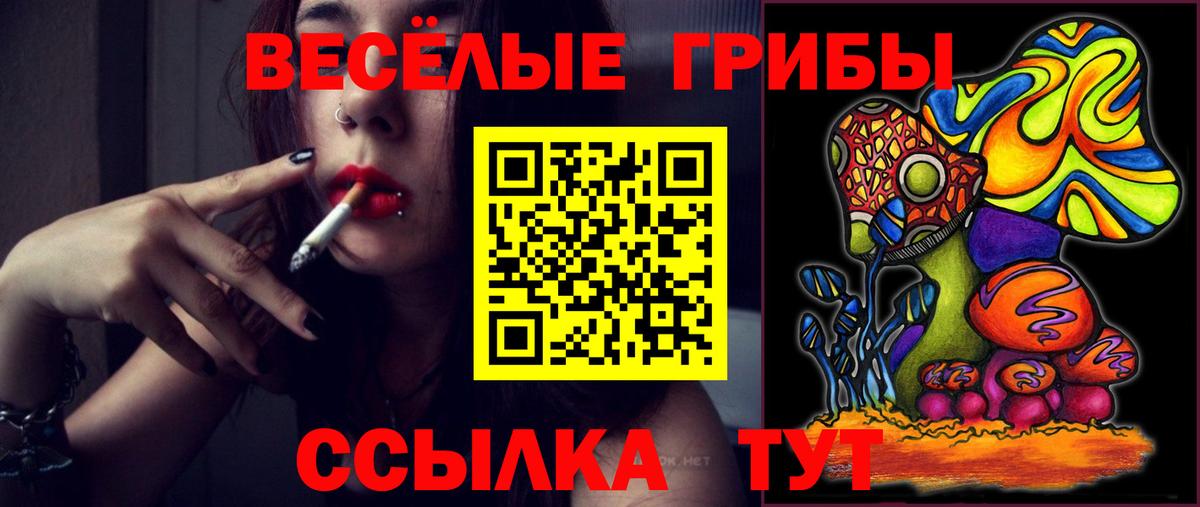 Галлюциногенные грибы MAGIC MUSHROOMS Елец
