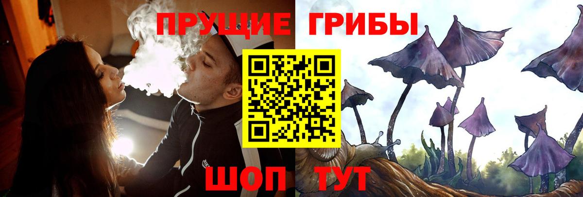 Псилоцибиновые грибы GOLDEN TEACHER  Псилоцибиновые грибы ЛСД  Вход с VPN  Елец 